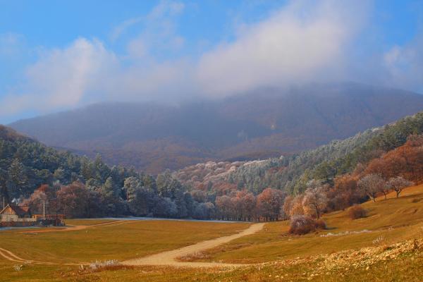 Zona Maial